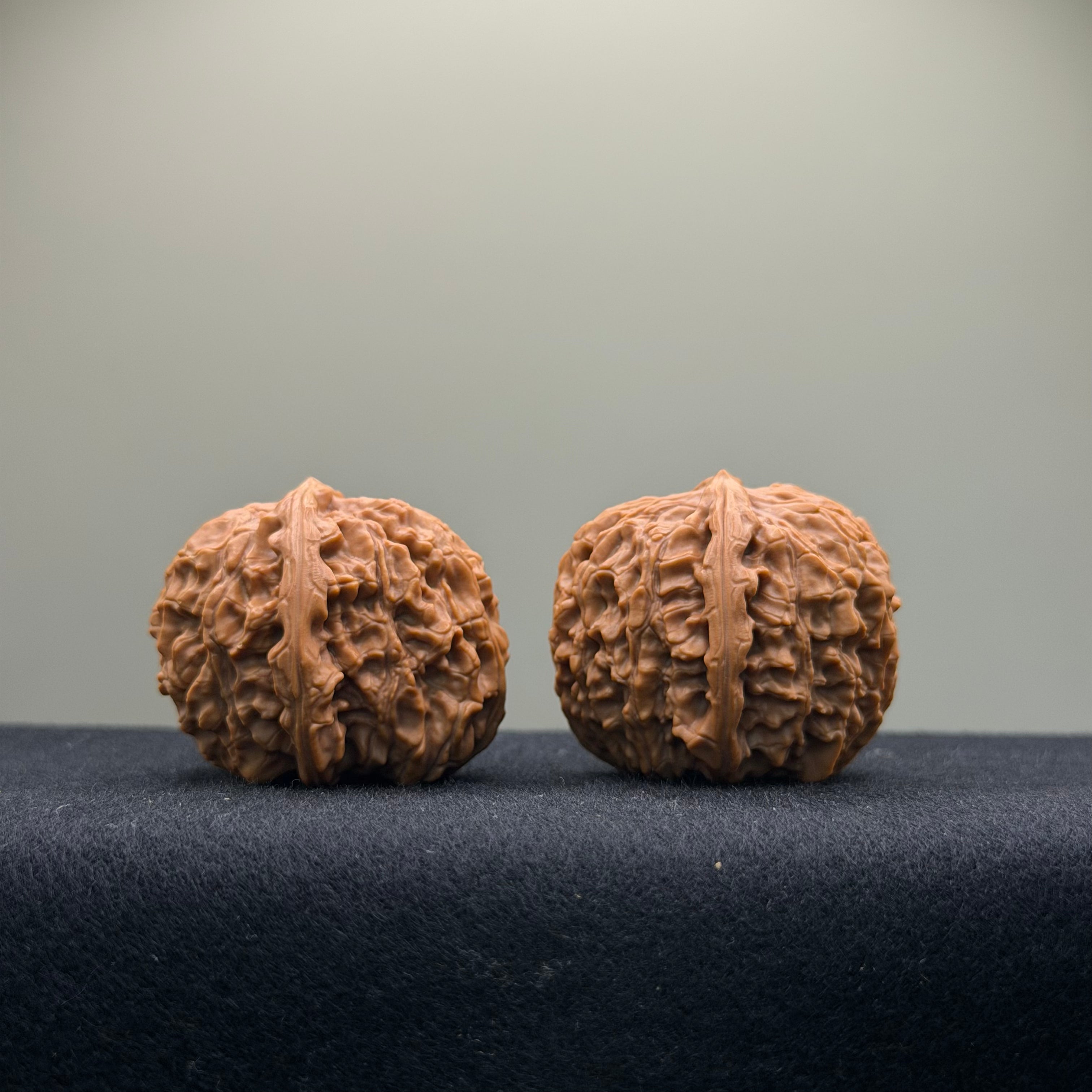 Emperor Qin Wenwan Walnut · 35mm · Select Ritual