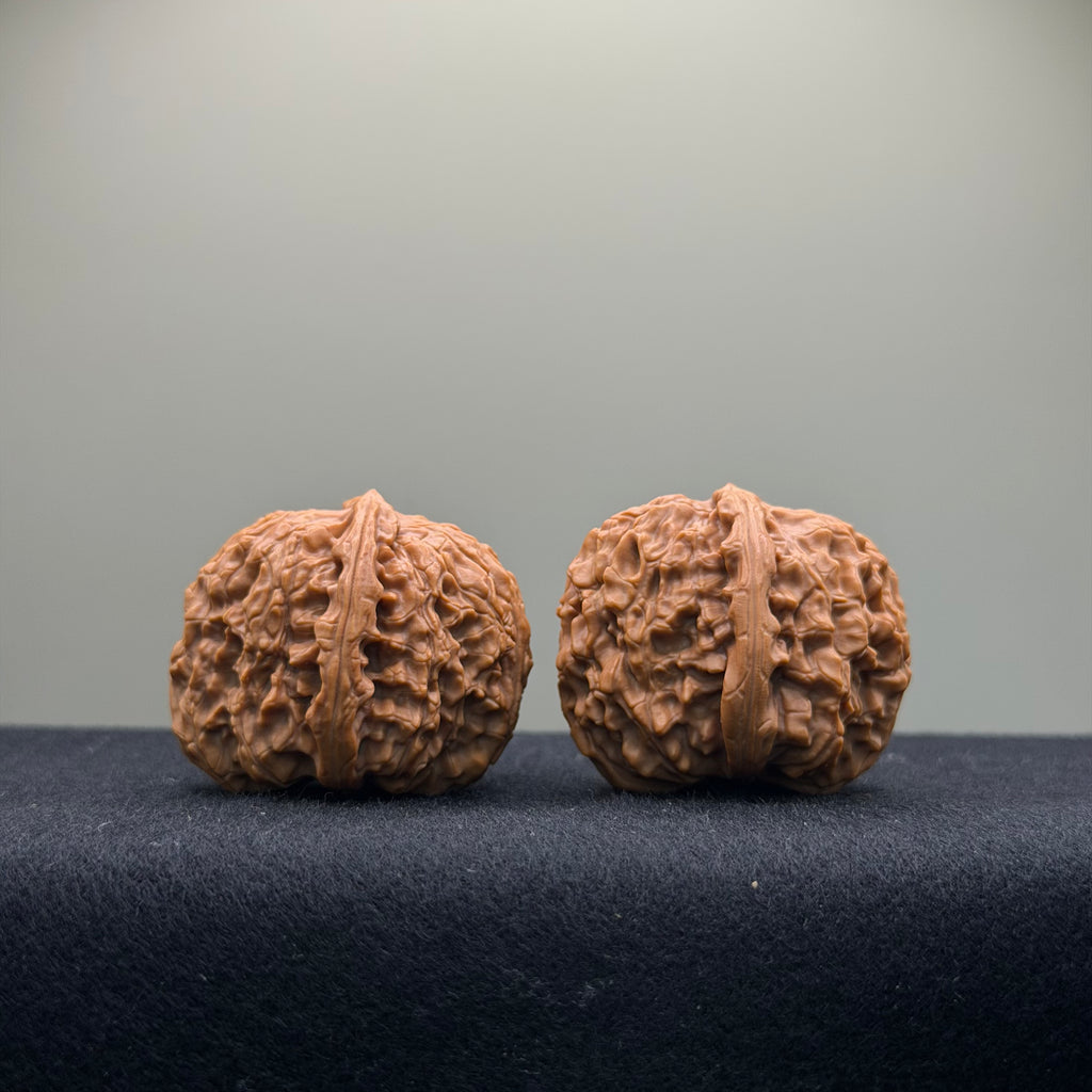 Emperor Qin Wenwan Walnut · 35mm · Select Ritual
