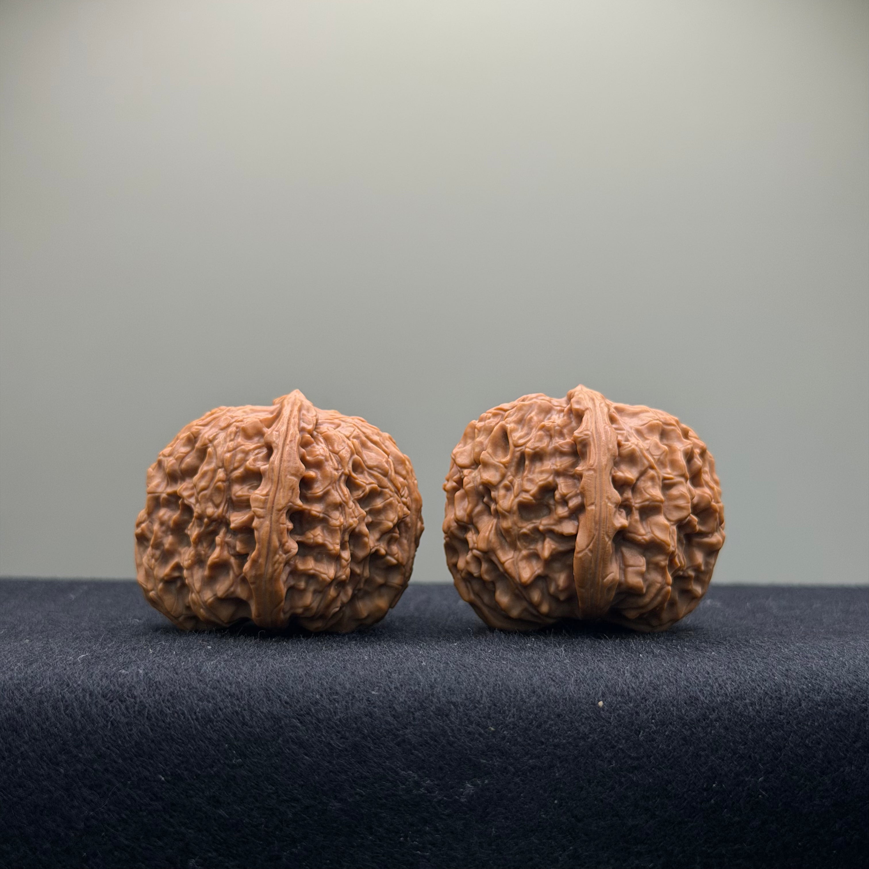 Emperor Qin Wenwan Walnut · 35mm · Select Ritual
