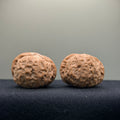Pumpkin Wenwan Walnut · 39mm · Natural · Select Ritual