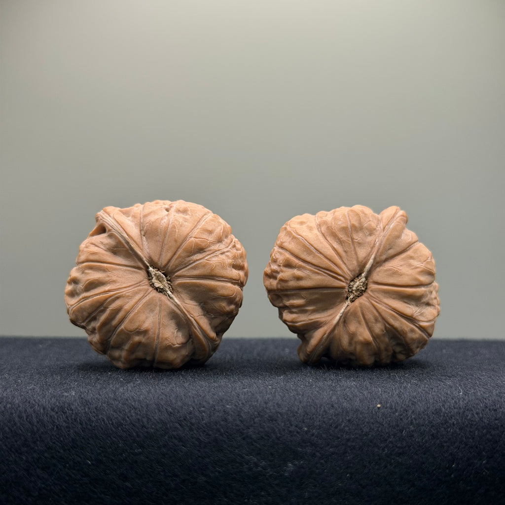 Pumpkin Wenwan Walnut · 39mm · Natural · Select Ritual
