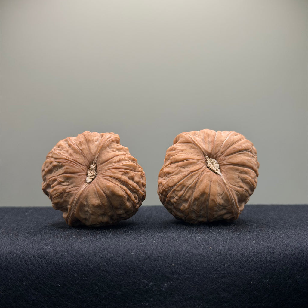 Pumpkin Wenwan Walnut · 40mm · Natural · Select Ritual