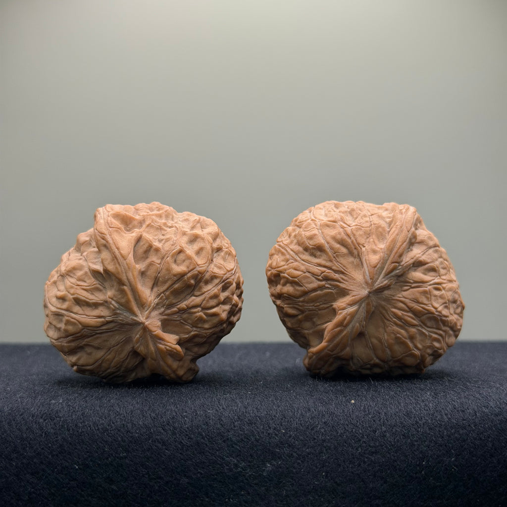 Pumpkin Wenwan Walnut · 40mm · Natural · Select Ritual