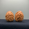 Toad Eye Wenwan Walnut · 33mm · Natural · Premium Ritual
