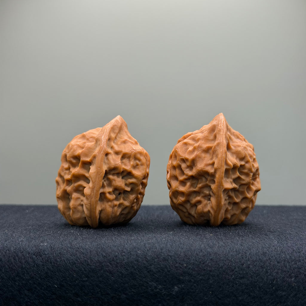 Toad Eye Wenwan Walnut · 33mm · Natural · Premium Ritual