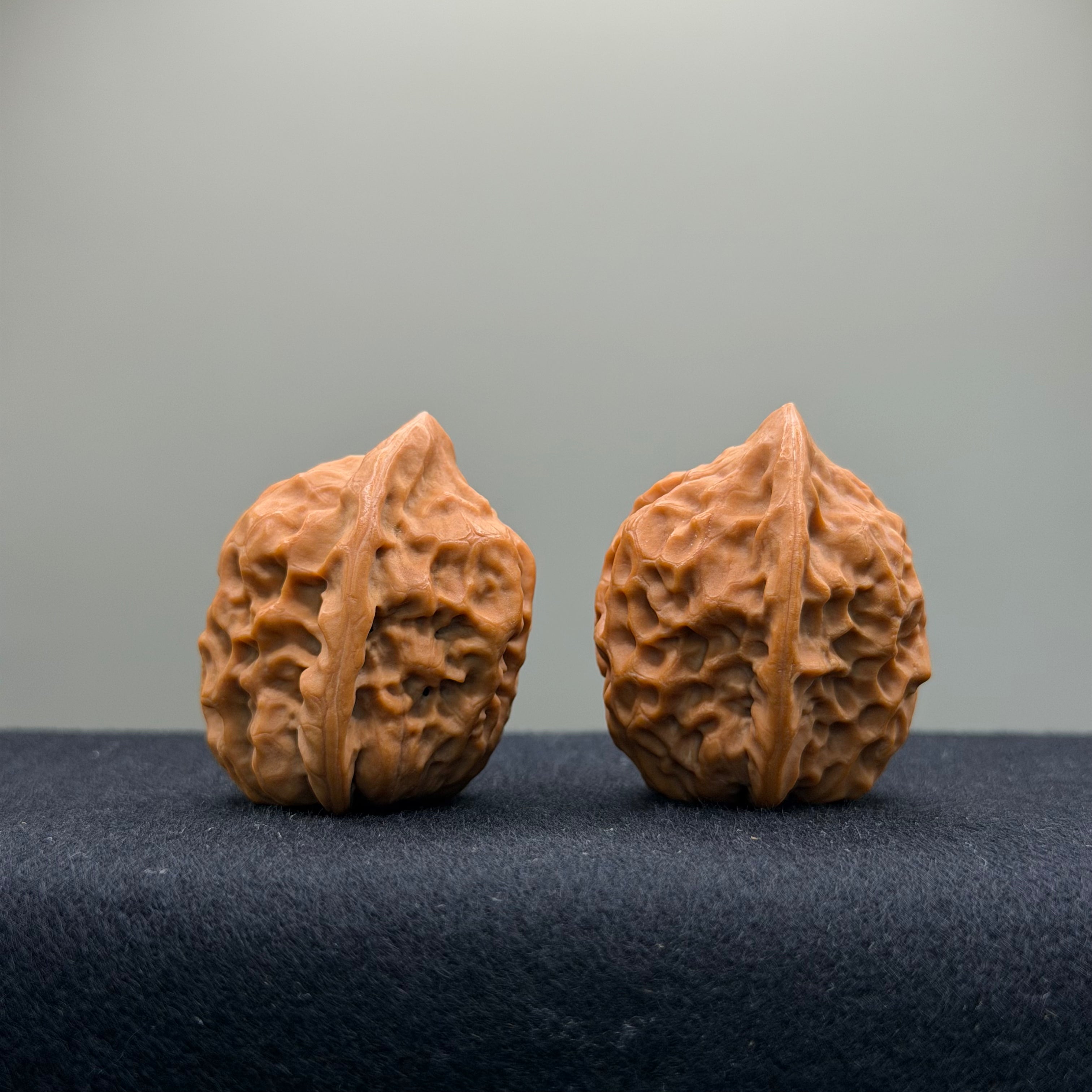 Toad Eye Wenwan Walnut · 33mm · Natural · Premium Ritual