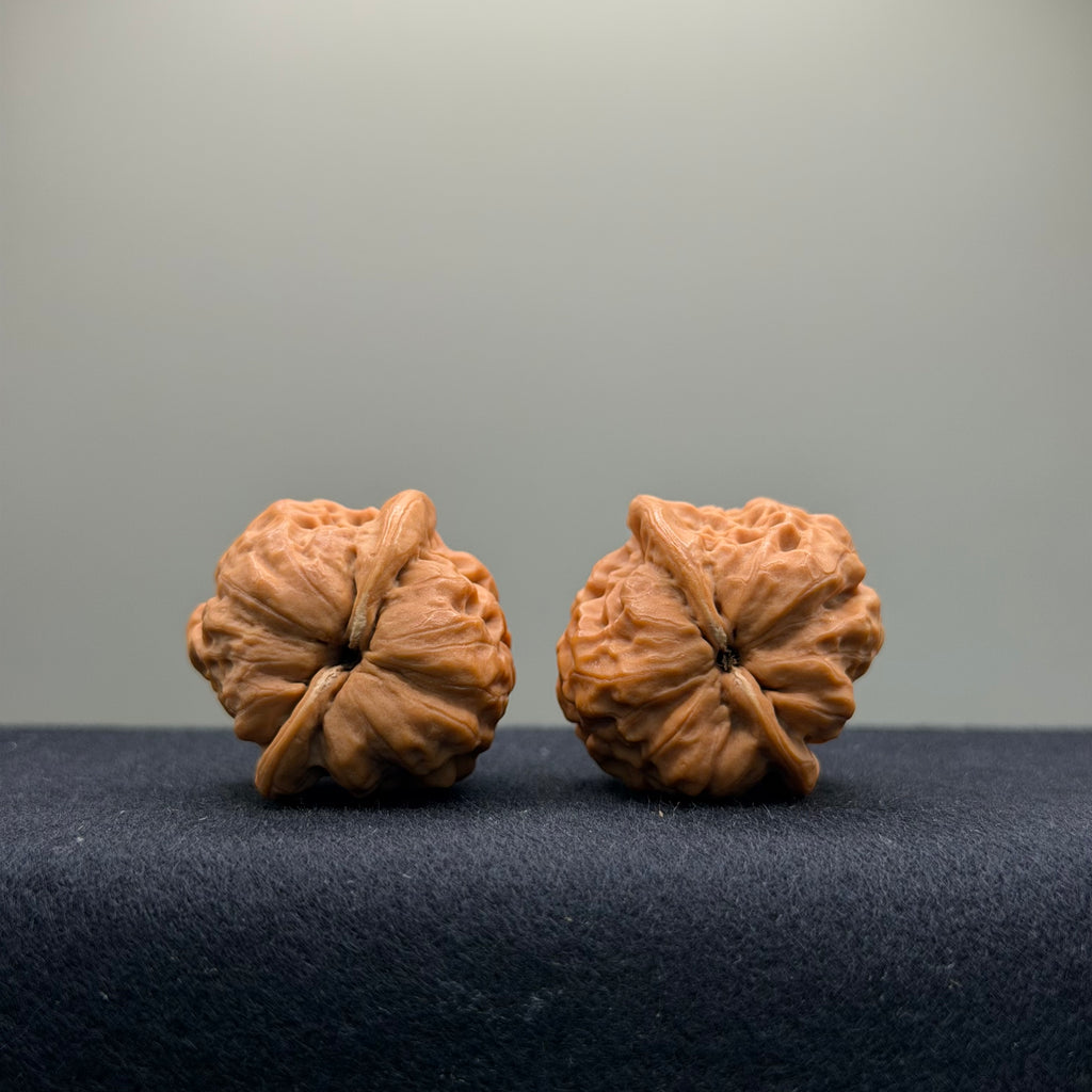 Toad Eye Wenwan Walnut · 33mm · Natural · Premium Ritual