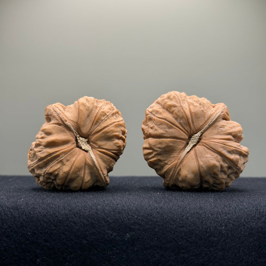 Pumpkin Wenwan Walnut · 42mm · Natural · Entry Ritual