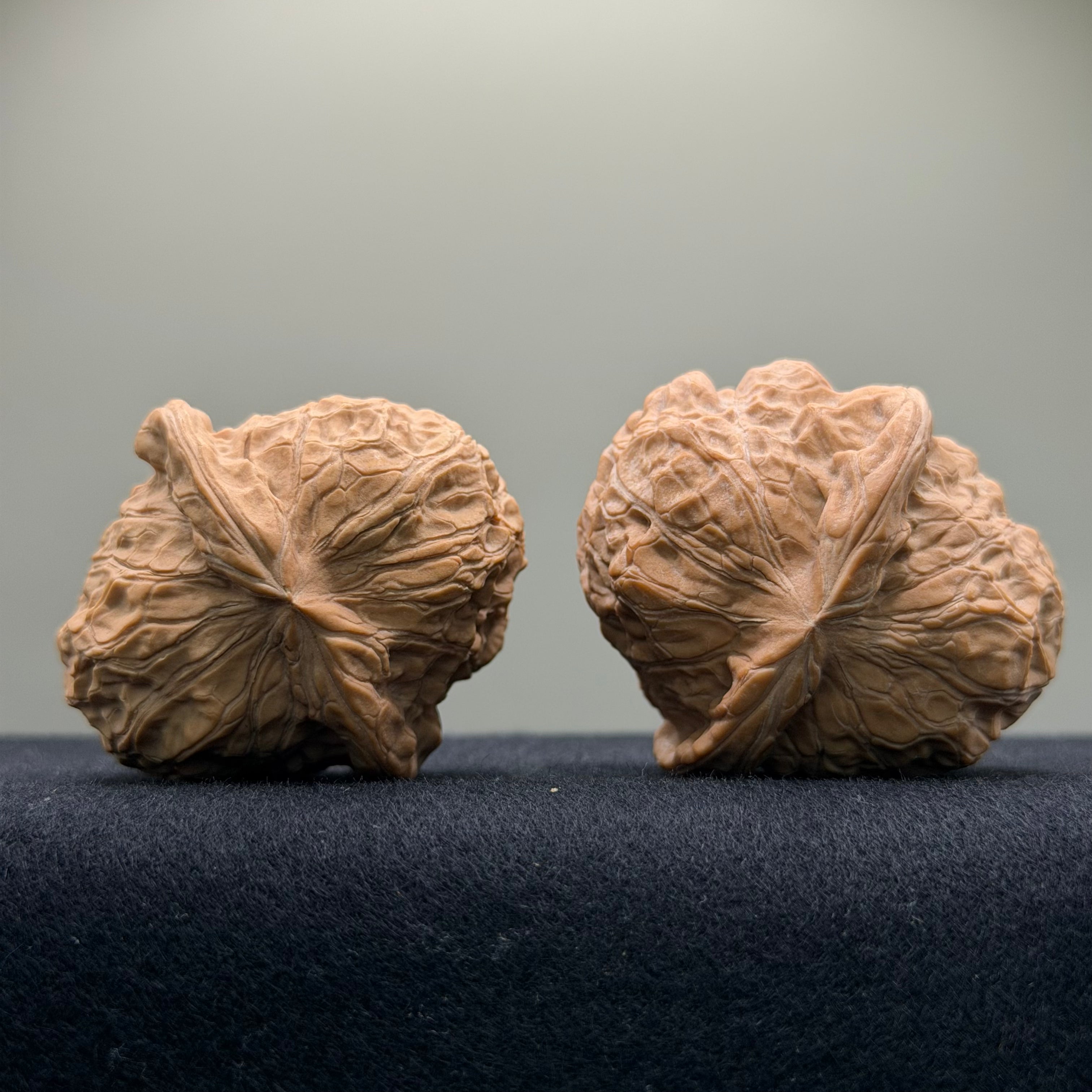 Pumpkin Wenwan Walnut · 42mm · Natural · Entry Ritual