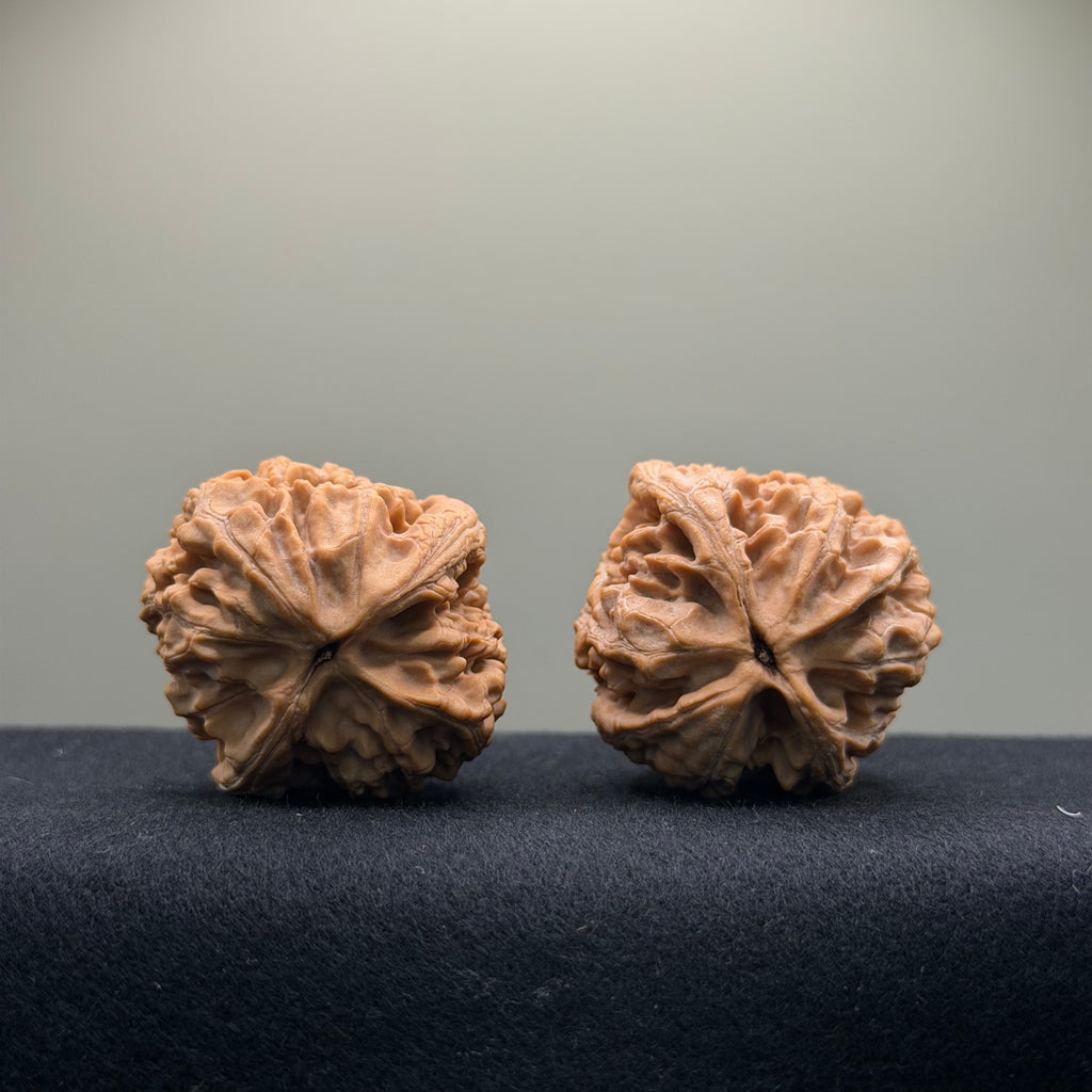 Dagushi Wenwan Walnut · 40mm · Natural · Select Ritual