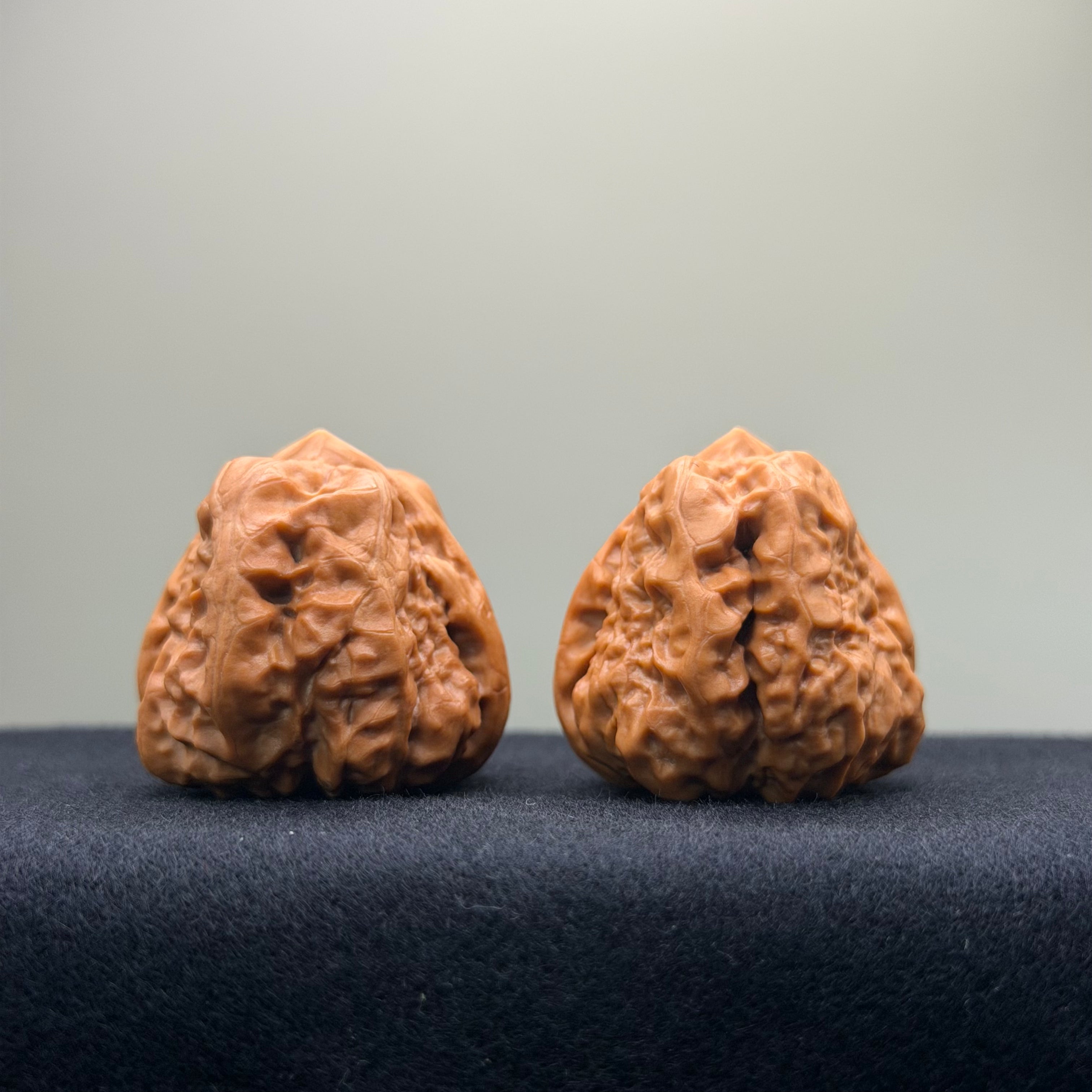 Tri-Edge Toad Head Wenwan Walnut · 37mm · Collector Ritual