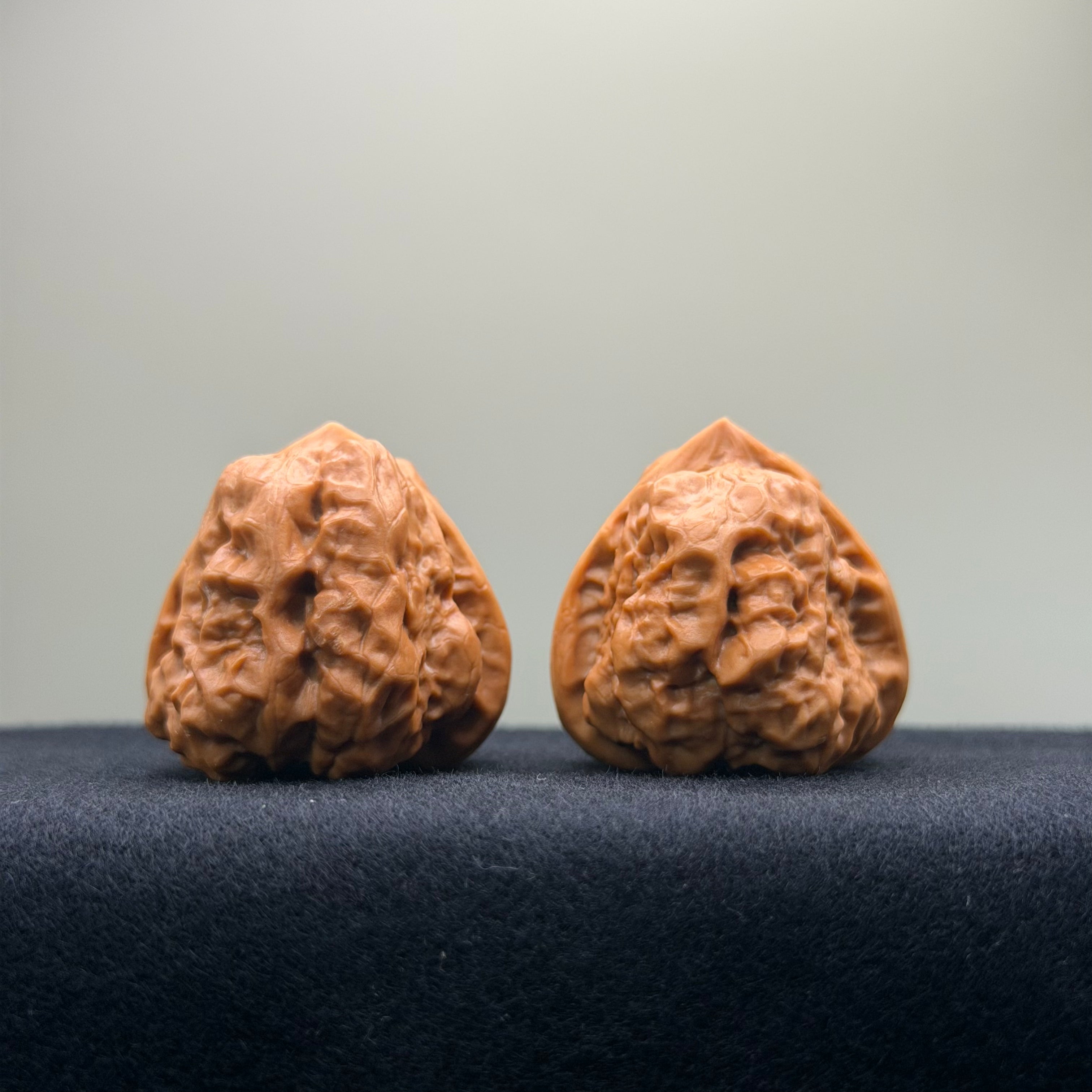 Tri-Edge Toad Head Wenwan Walnut · 37mm · Collector Ritual