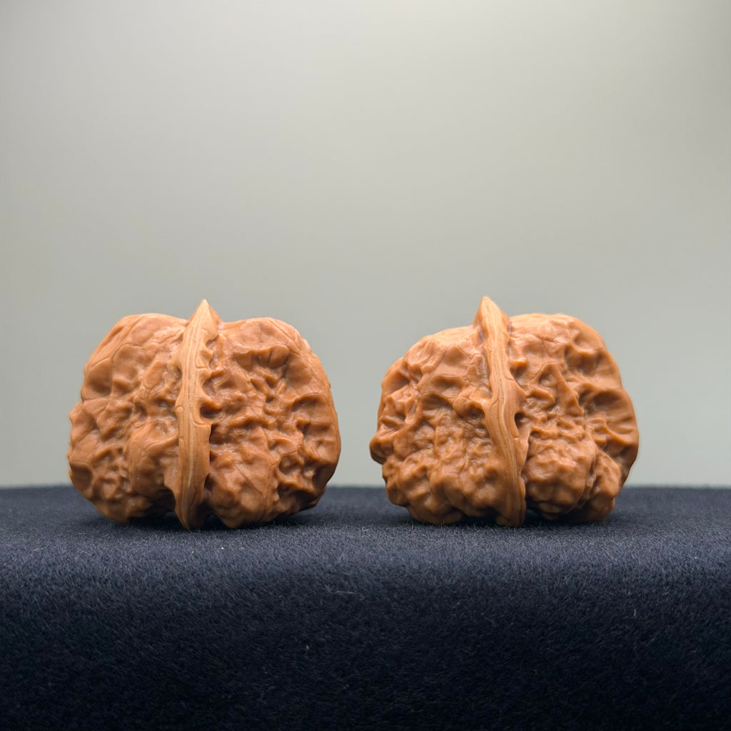 Tri-Edge Toad Head Wenwan Walnut · 37mm · Collector Ritual
