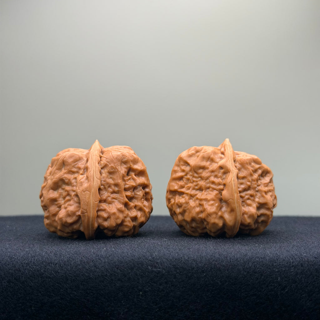 Tri-Edge Toad Head Wenwan Walnut · 37mm · Collector Ritual