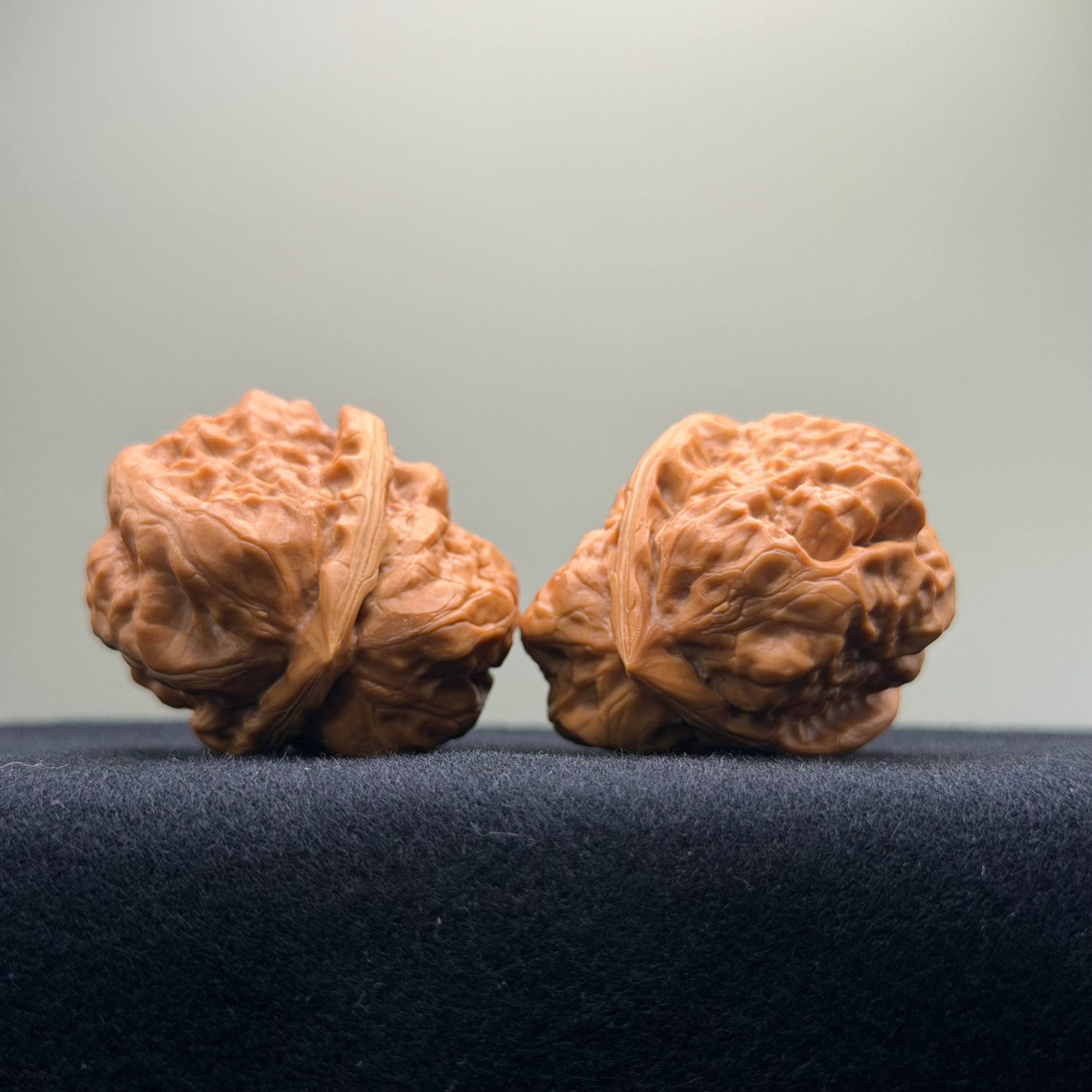 Tri-Edge Toad Head Wenwan Walnut · 37mm · Collector Ritual