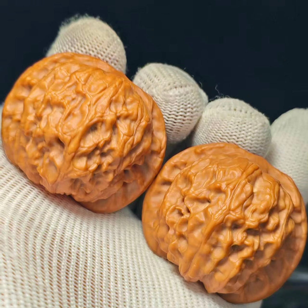 Wild Wolf Wenwan Walnut · 41mm · Sourcing Pick