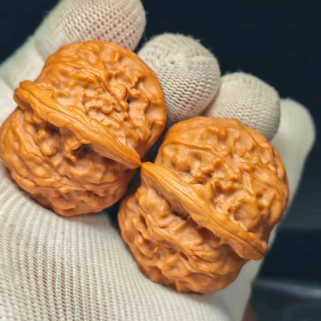 Wild Wolf Wenwan Walnut · 41mm · Sourcing Pick