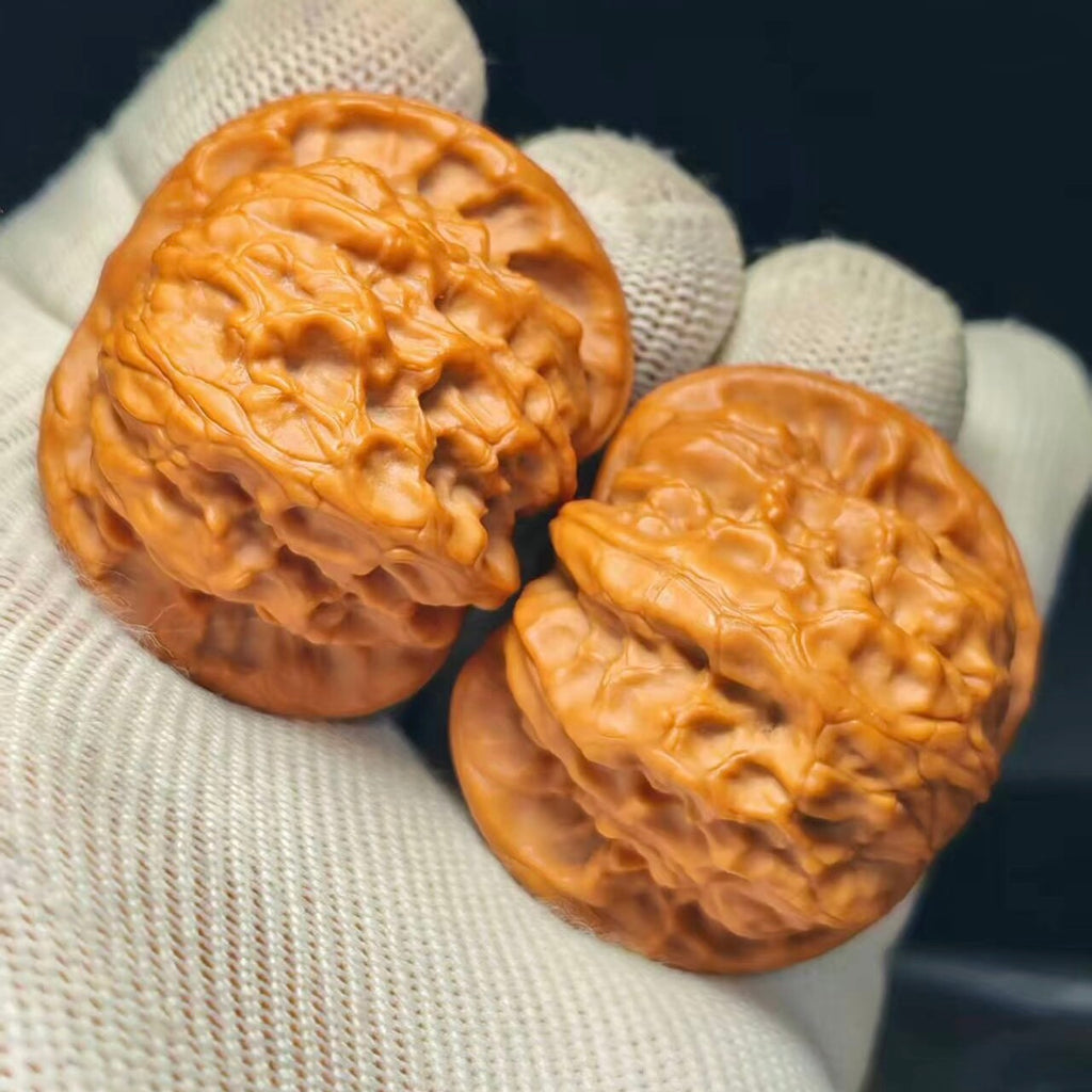 Wild Wolf Wenwan Walnut · 41mm · Sourcing Pick