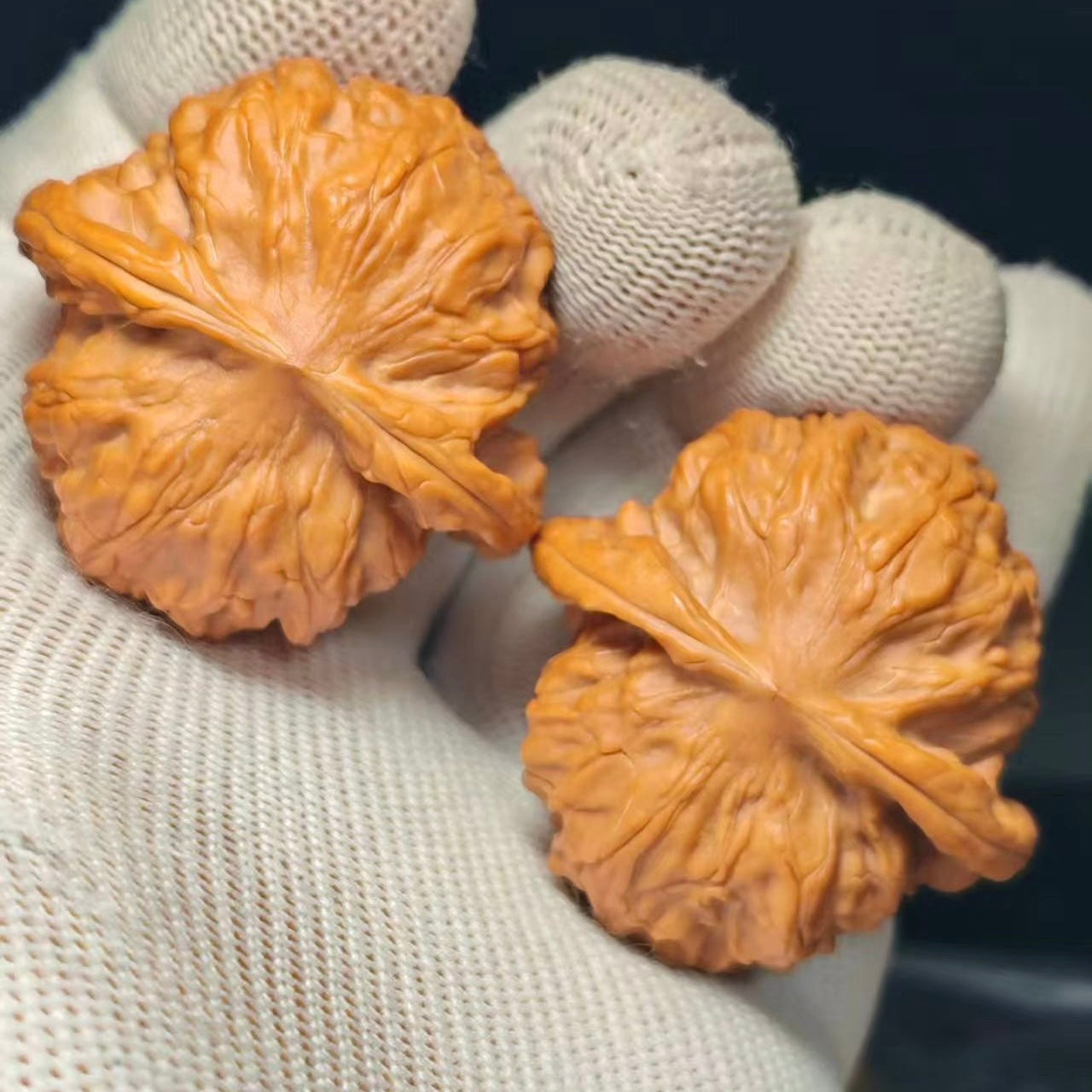 Wild Wolf Wenwan Walnut · 41mm · Sourcing Pick