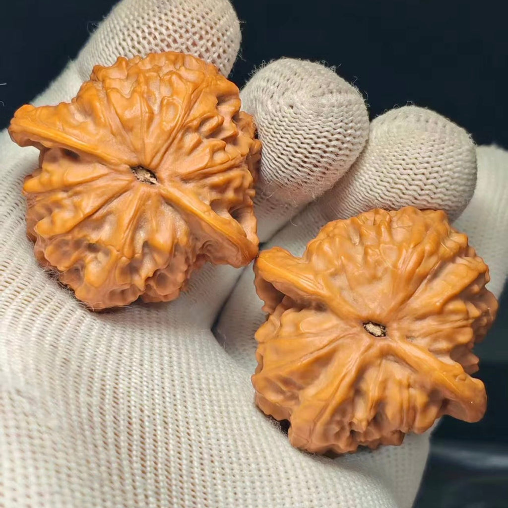 Wild Wolf Wenwan Walnut · 41mm · Sourcing Pick