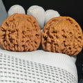 Nanjiang Stone Wenwan Walnut · 45mm · Sourcing Pick