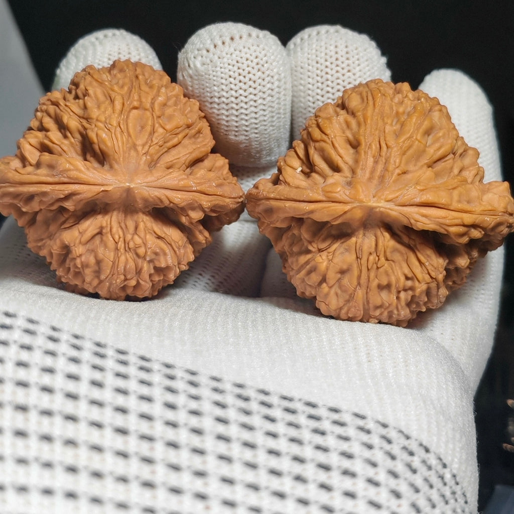 Nanjiang Stone Wenwan Walnut · 45mm · Sourcing Pick