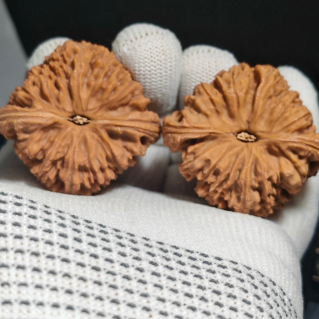 Nanjiang Stone Wenwan Walnut · 45mm · Sourcing Pick