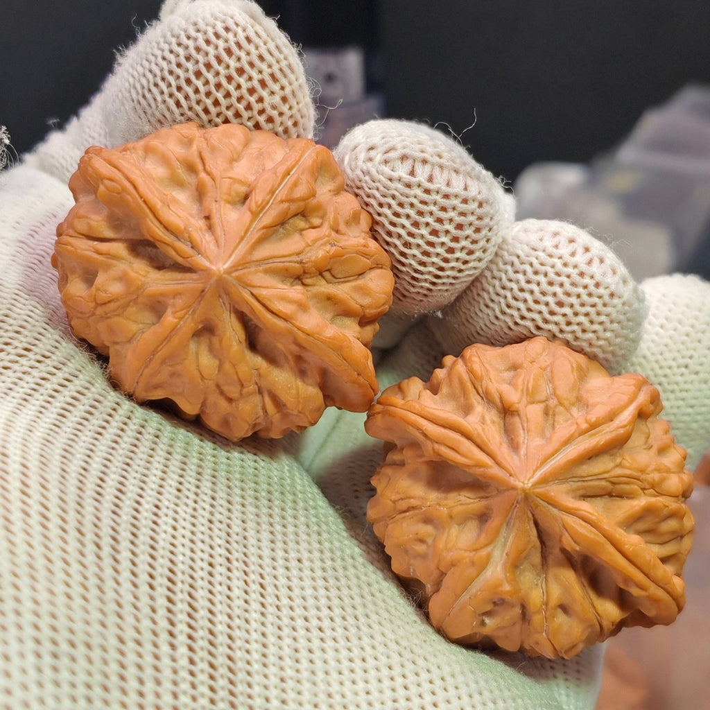 Four-Ridge Wenwan Walnut · 38mm · Sourcing Pick