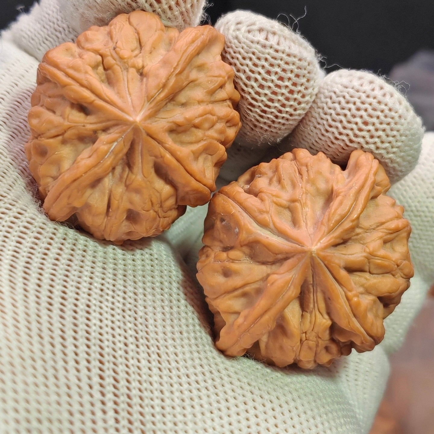 Four-Ridge Wenwan Walnut · 38mm · Sourcing Pick