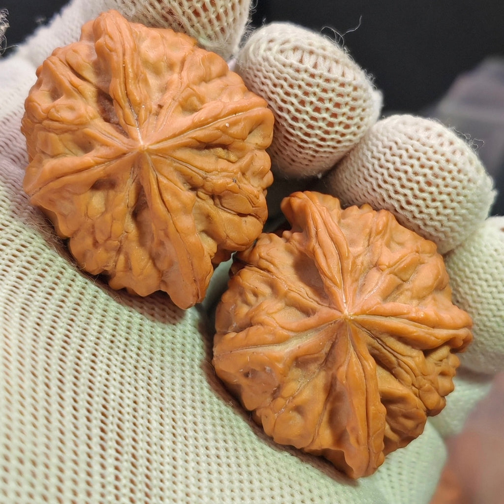 Four-Ridge Wenwan Walnut · 38mm · Sourcing Pick