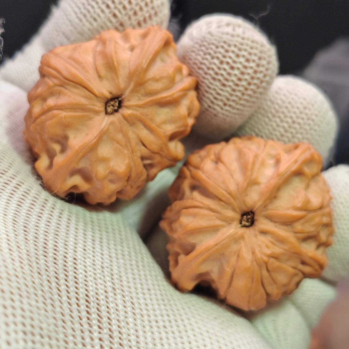 Four-Ridge Wenwan Walnut · 38mm · Sourcing Pick