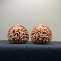 Four Towers Wenwan Walnut · 40mm · Natural · Entry Ritual