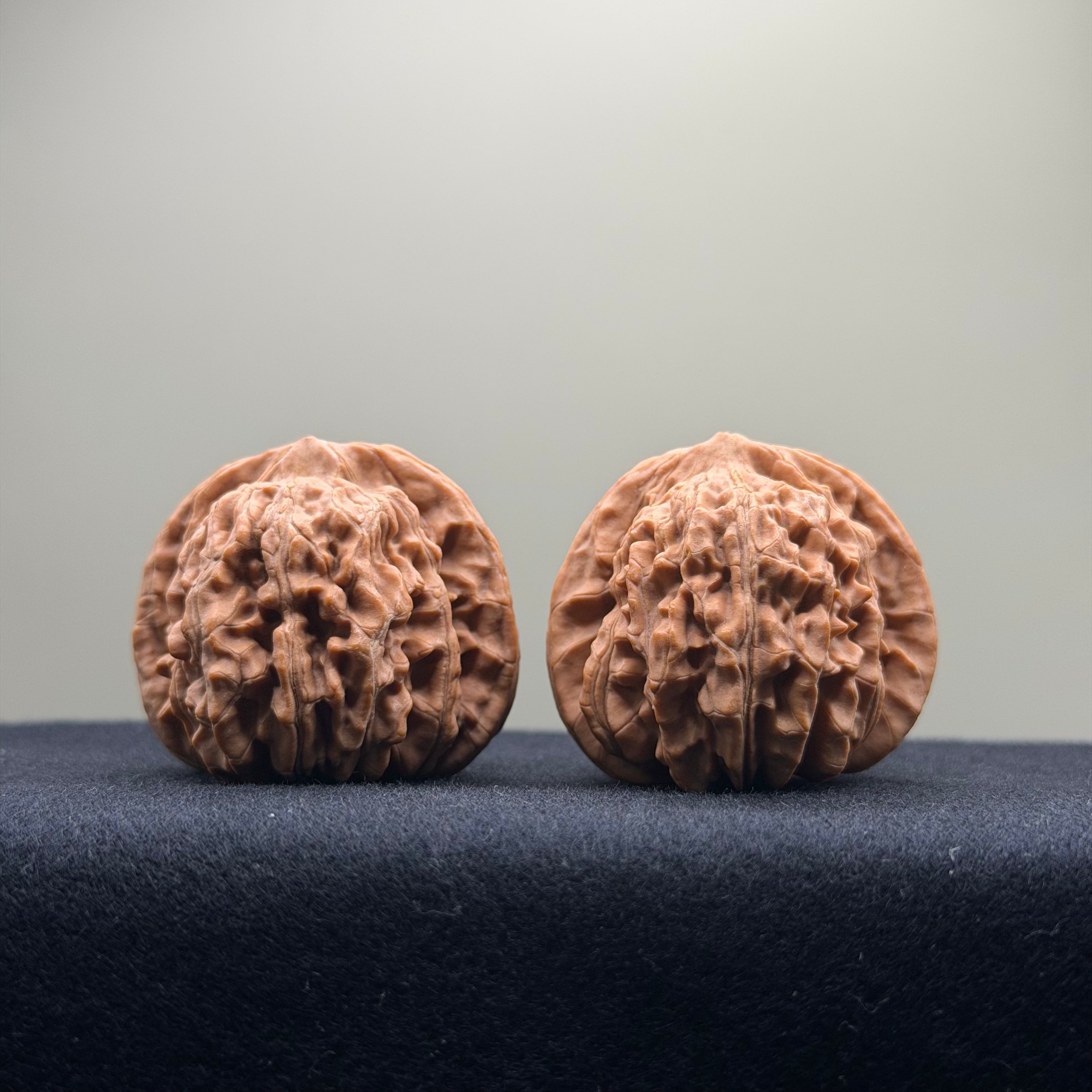 Four Towers Wenwan Walnut · 40mm · Natural · Entry Ritual