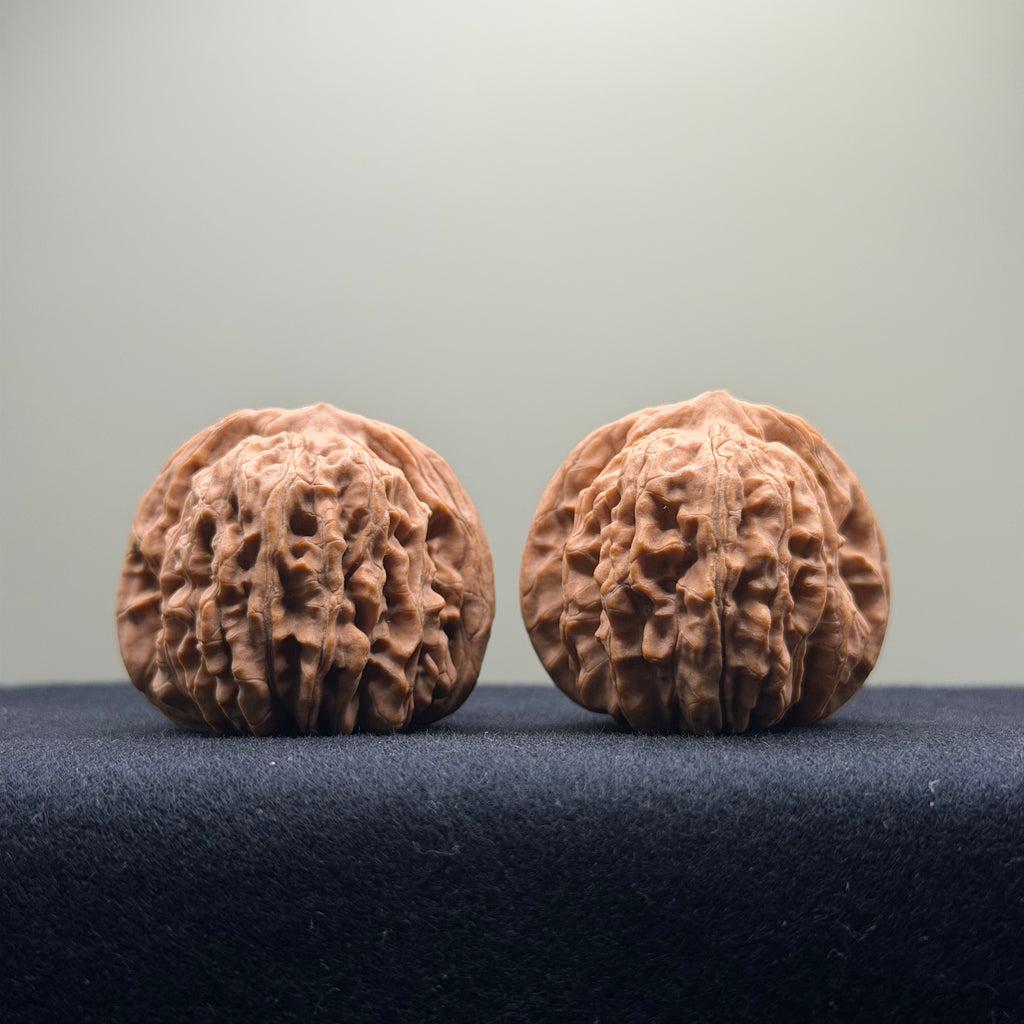 Four Towers Wenwan Walnut · 40mm · Natural · Entry Ritual