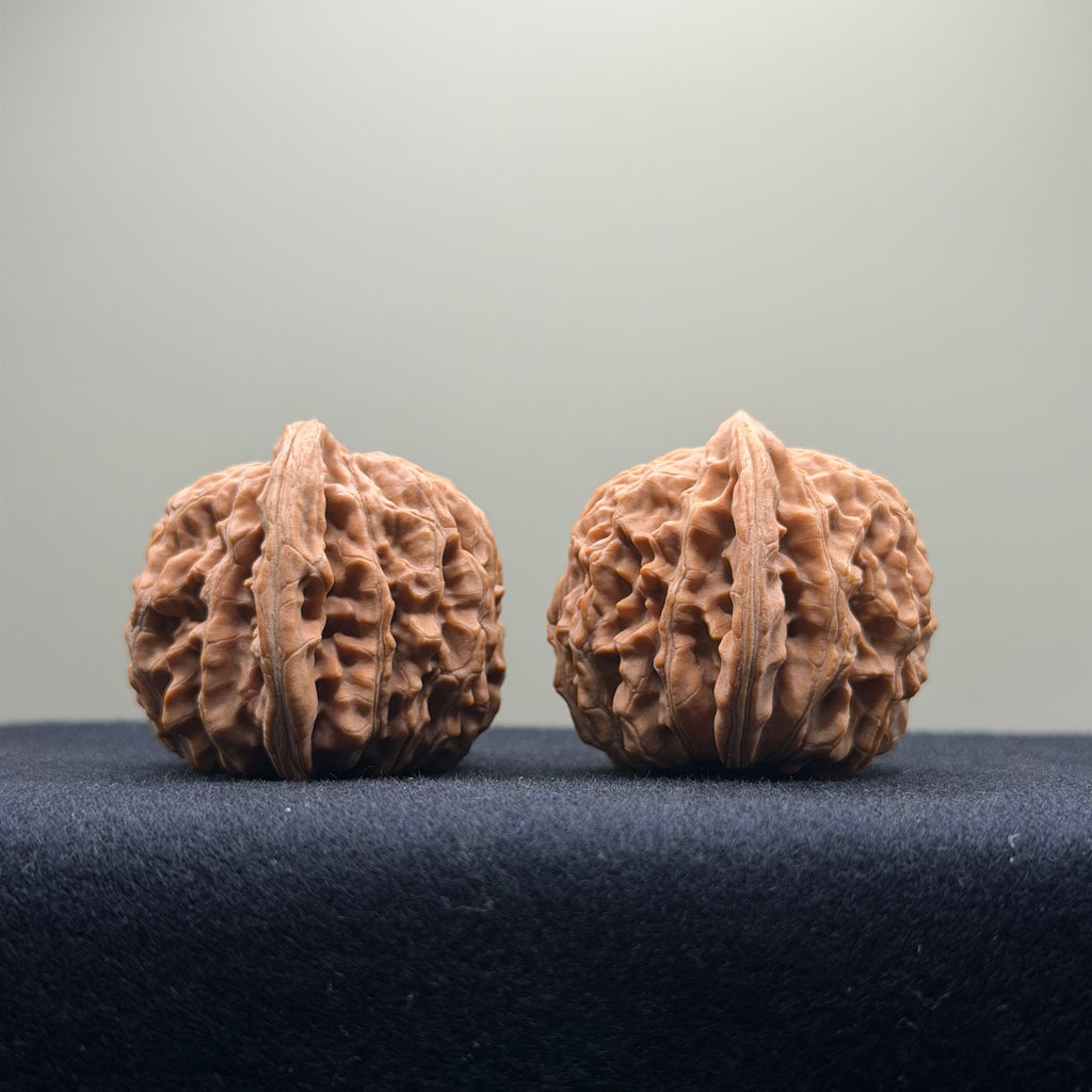 Four Towers Wenwan Walnut · 40mm · Natural · Entry Ritual
