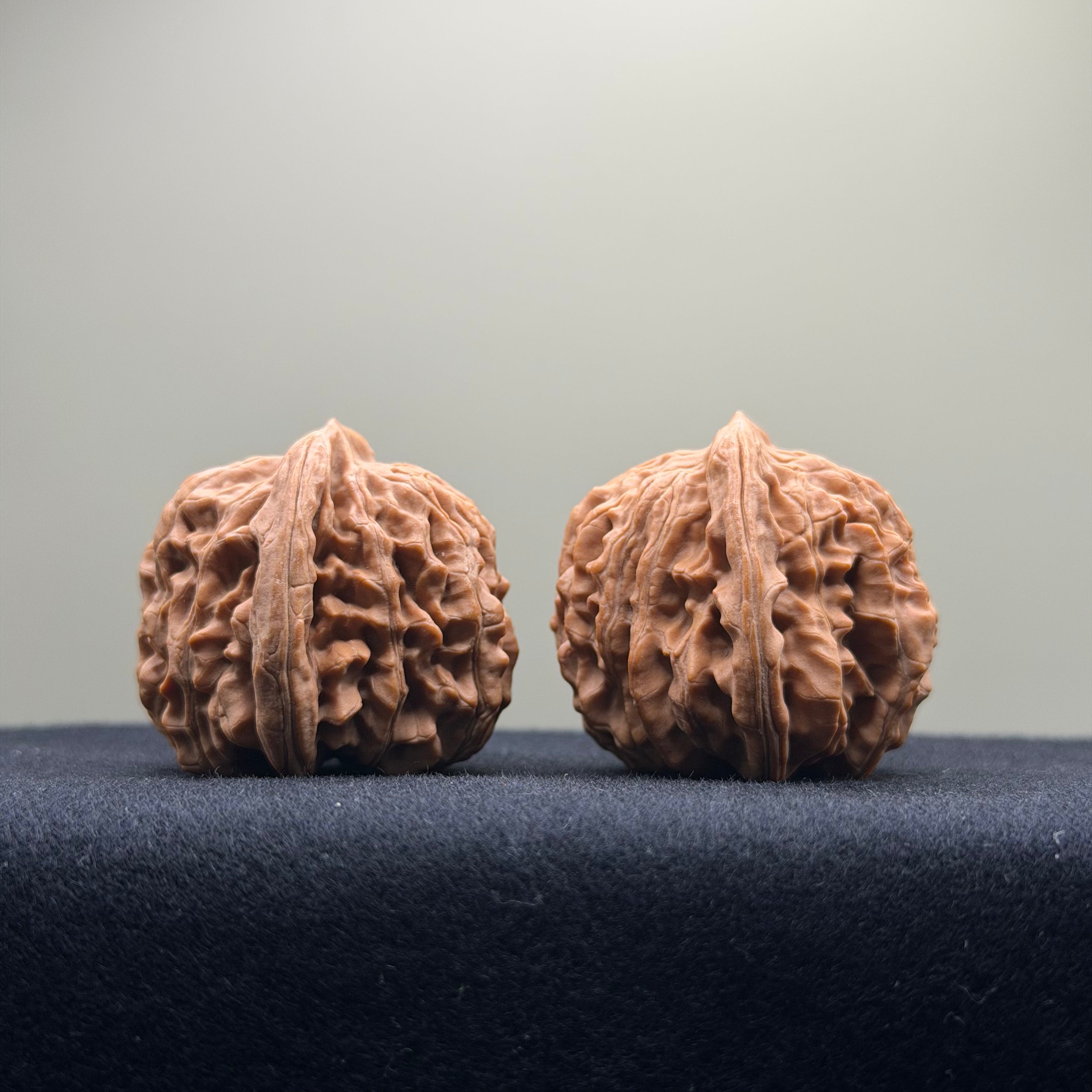 Four Towers Wenwan Walnut · 40mm · Natural · Entry Ritual