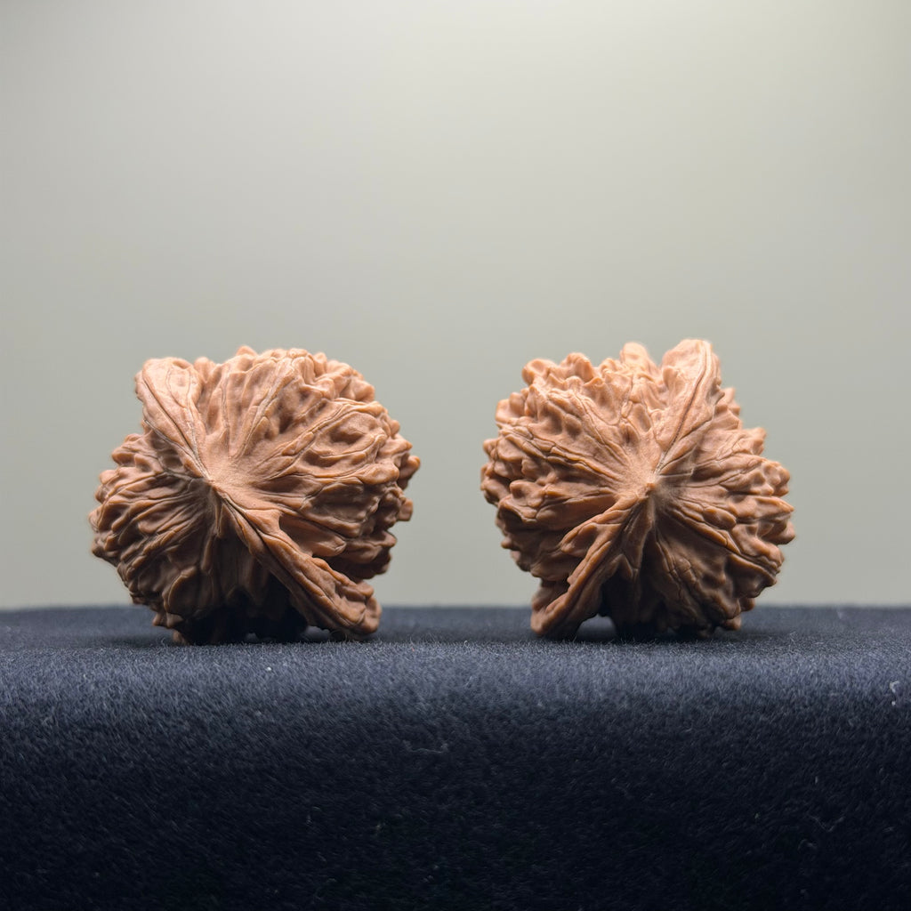 Four Towers Wenwan Walnut · 40mm · Natural · Entry Ritual
