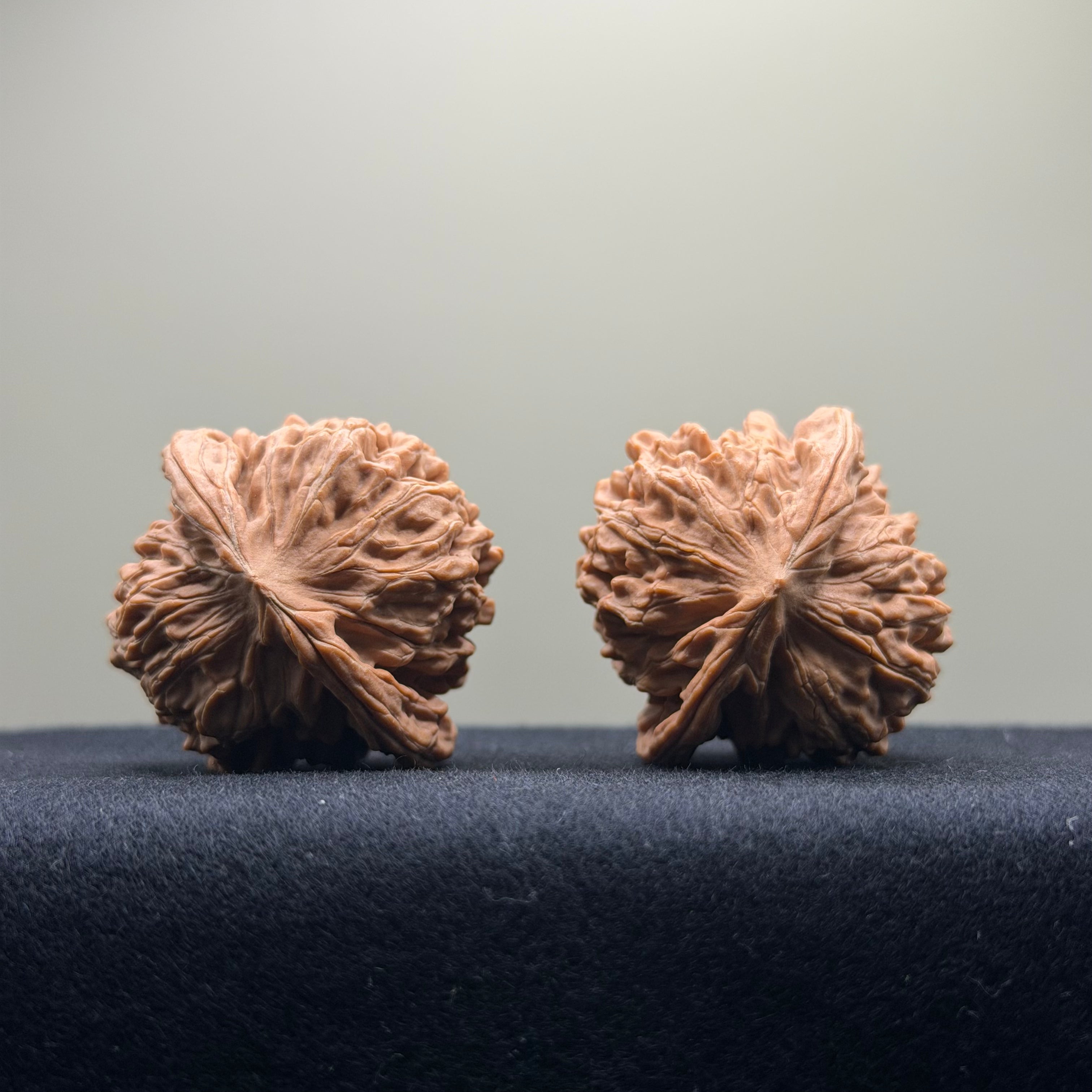 Four Towers Wenwan Walnut · 40mm · Natural · Entry Ritual