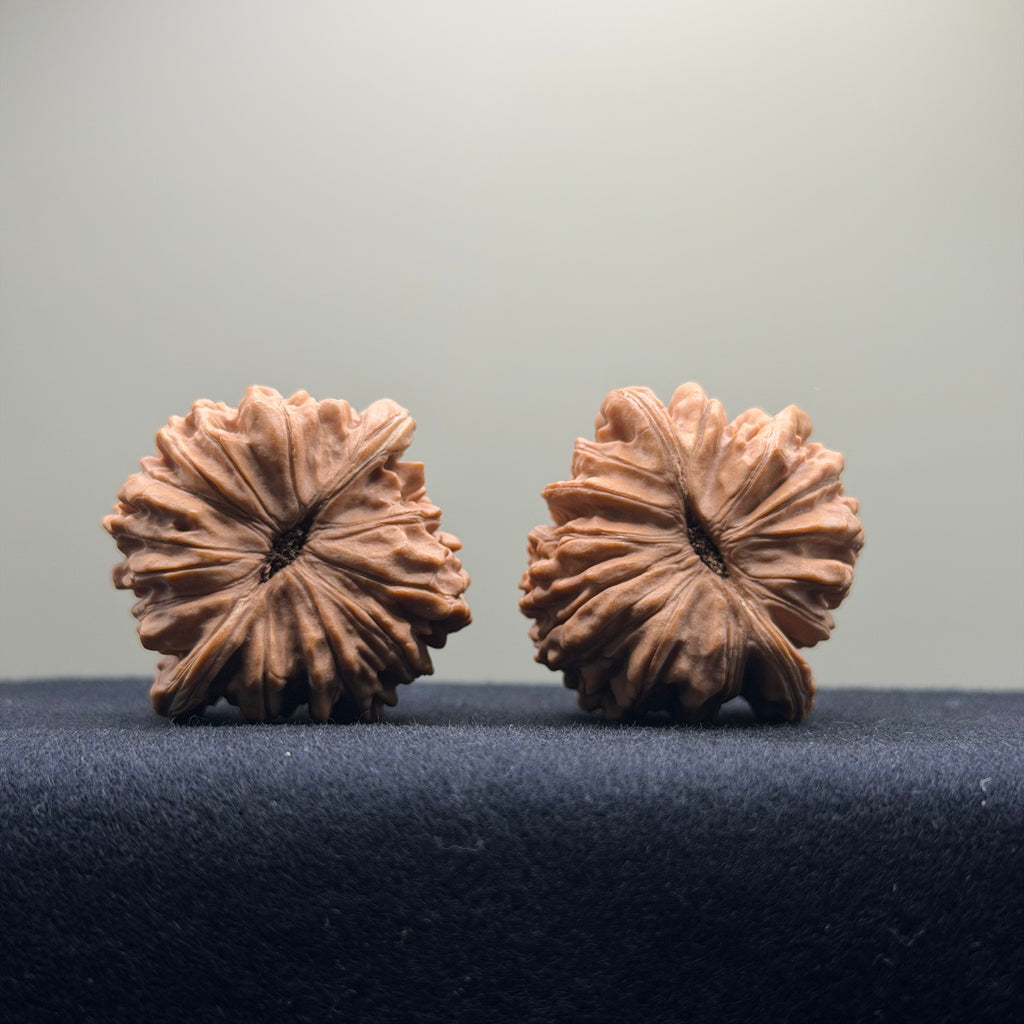 Four Towers Wenwan Walnut · 40mm · Natural · Entry Ritual