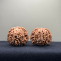 Four Towers Wenwan Walnut · 40mm · Natural · Entry Ritual