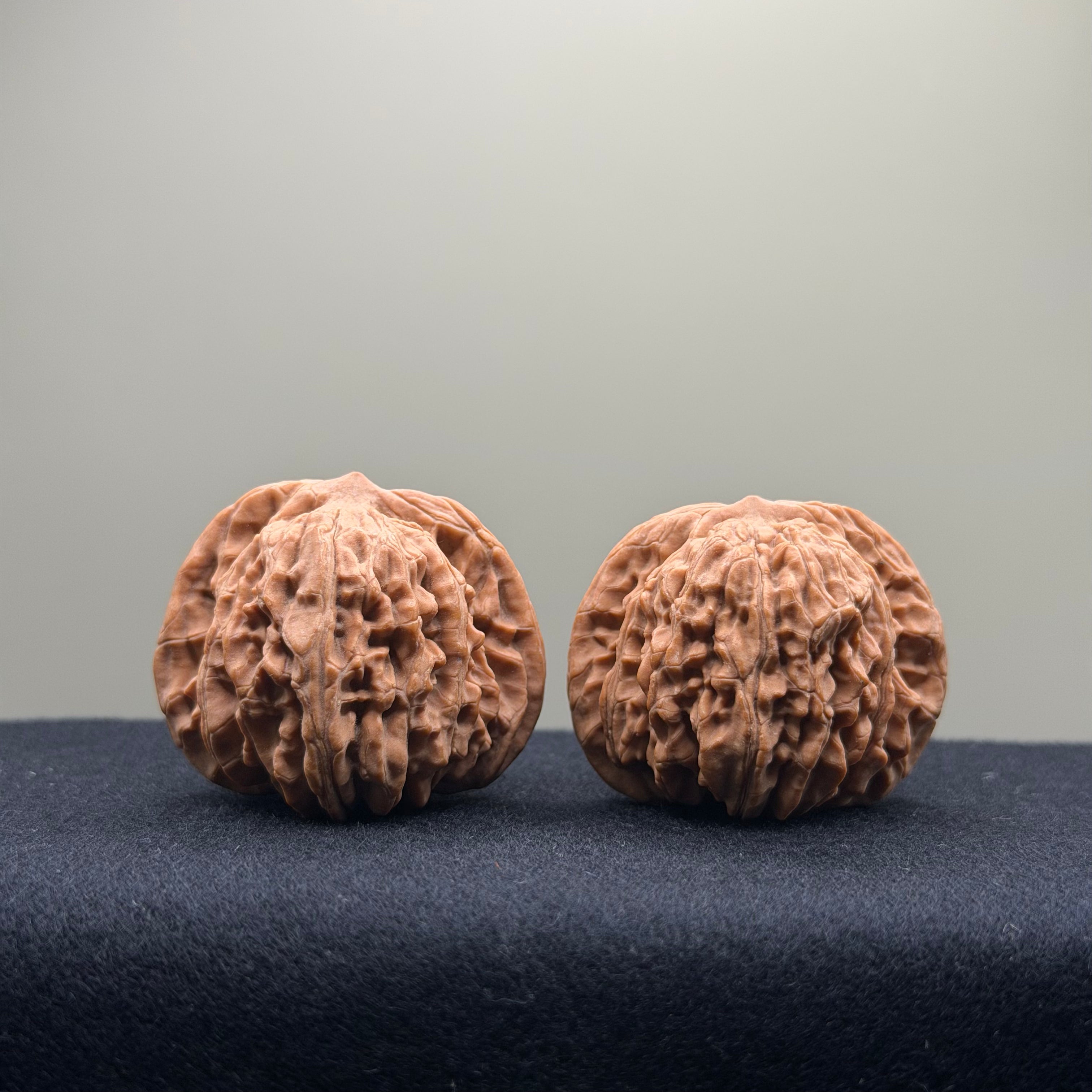 Four Towers Wenwan Walnut · 40mm · Natural · Entry Ritual
