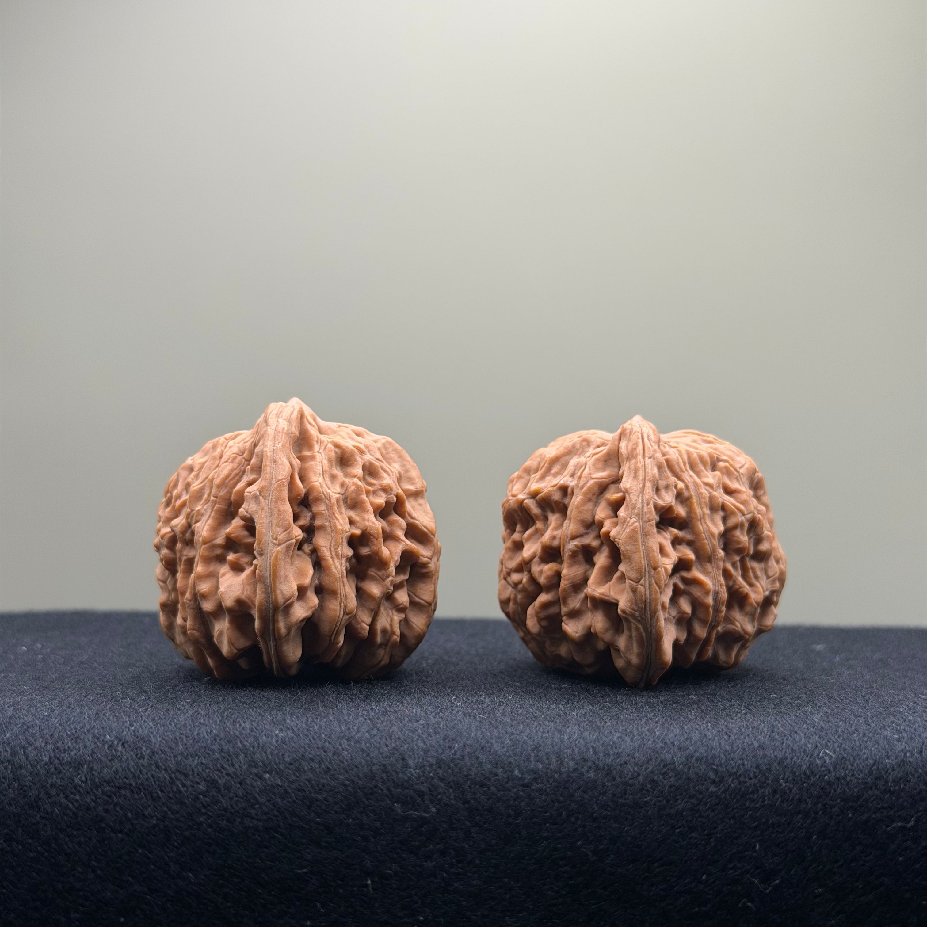 Four Towers Wenwan Walnut · 40mm · Natural · Entry Ritual