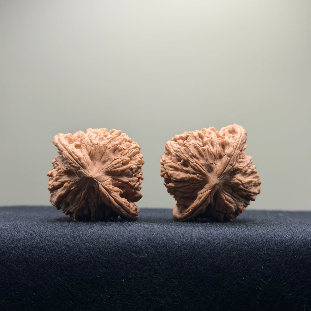 Four Towers Wenwan Walnut · 40mm · Natural · Entry Ritual