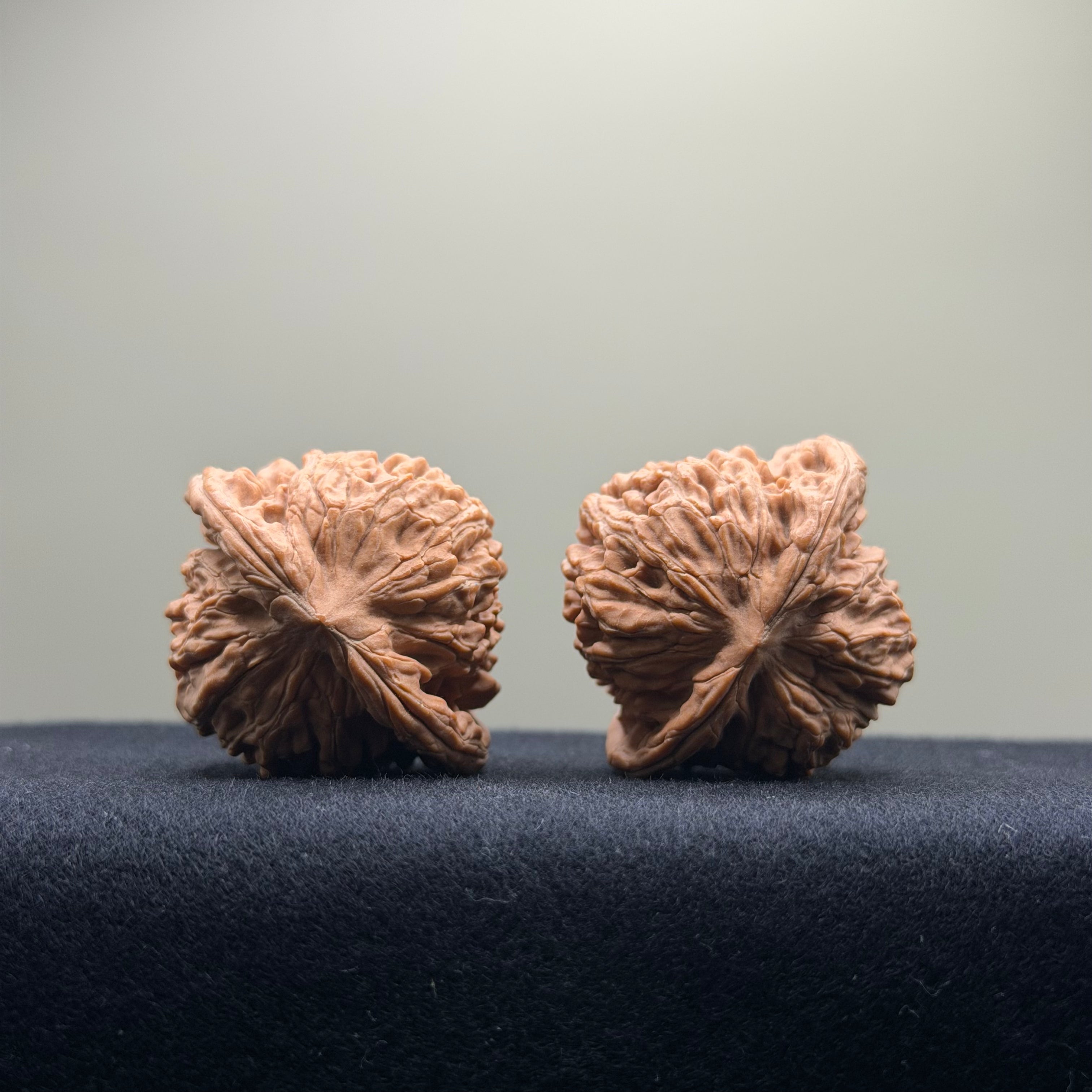 Four Towers Wenwan Walnut · 40mm · Natural · Entry Ritual