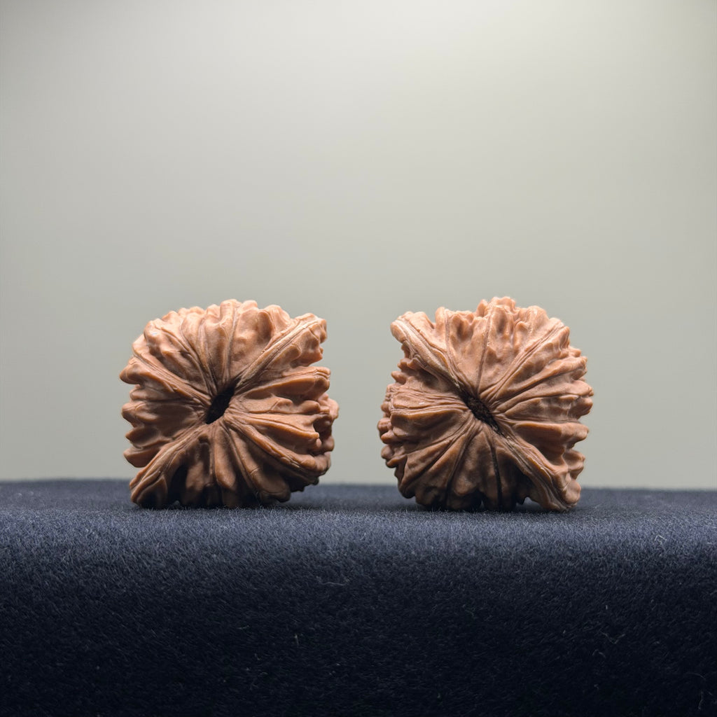 Four Towers Wenwan Walnut · 40mm · Natural · Entry Ritual