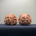 Four Towers Wenwan Walnut · 42mm · Natural · Entry Ritual