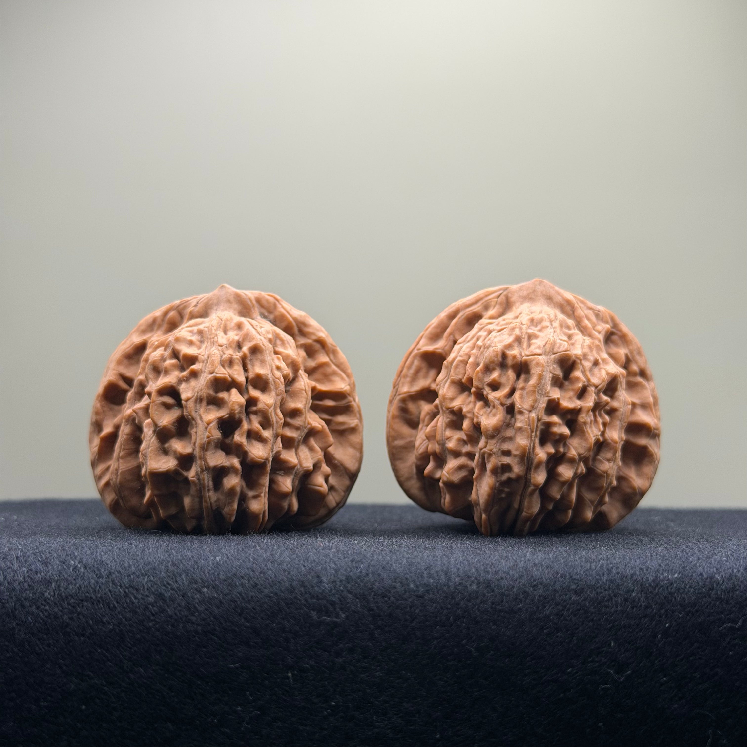 Four Towers Wenwan Walnut · 42mm · Natural · Entry Ritual