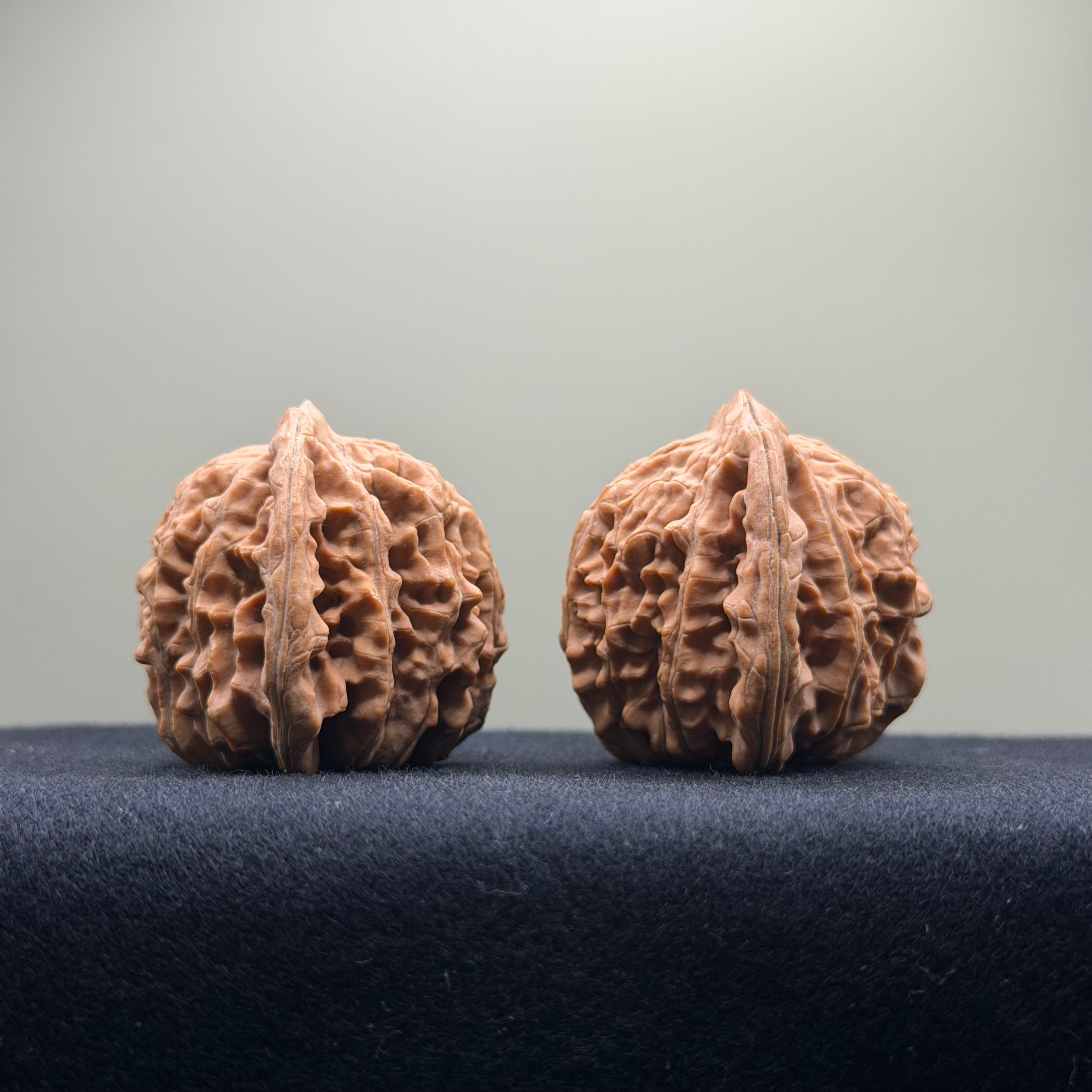 Four Towers Wenwan Walnut · 42mm · Natural · Entry Ritual
