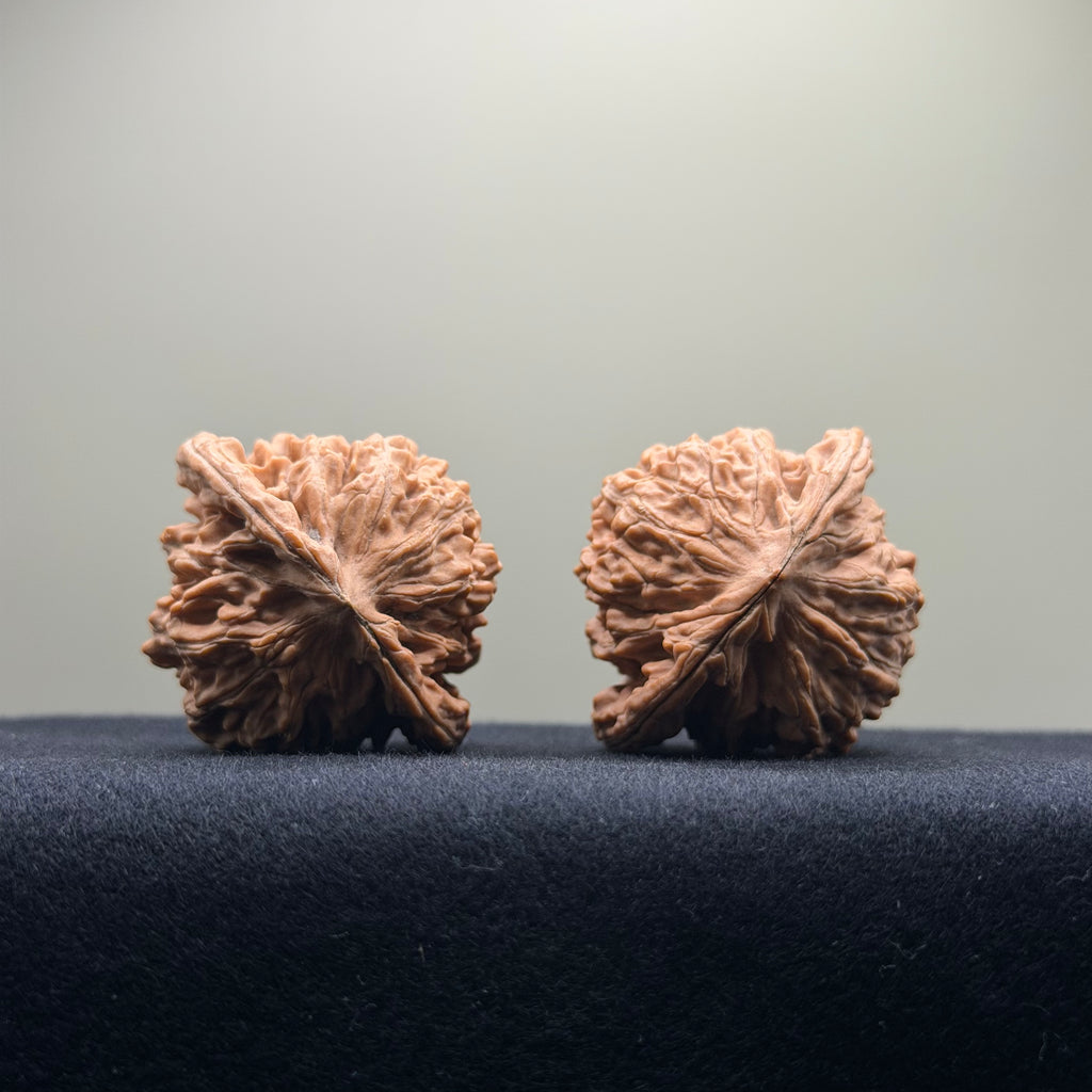 Four Towers Wenwan Walnut · 42mm · Natural · Entry Ritual