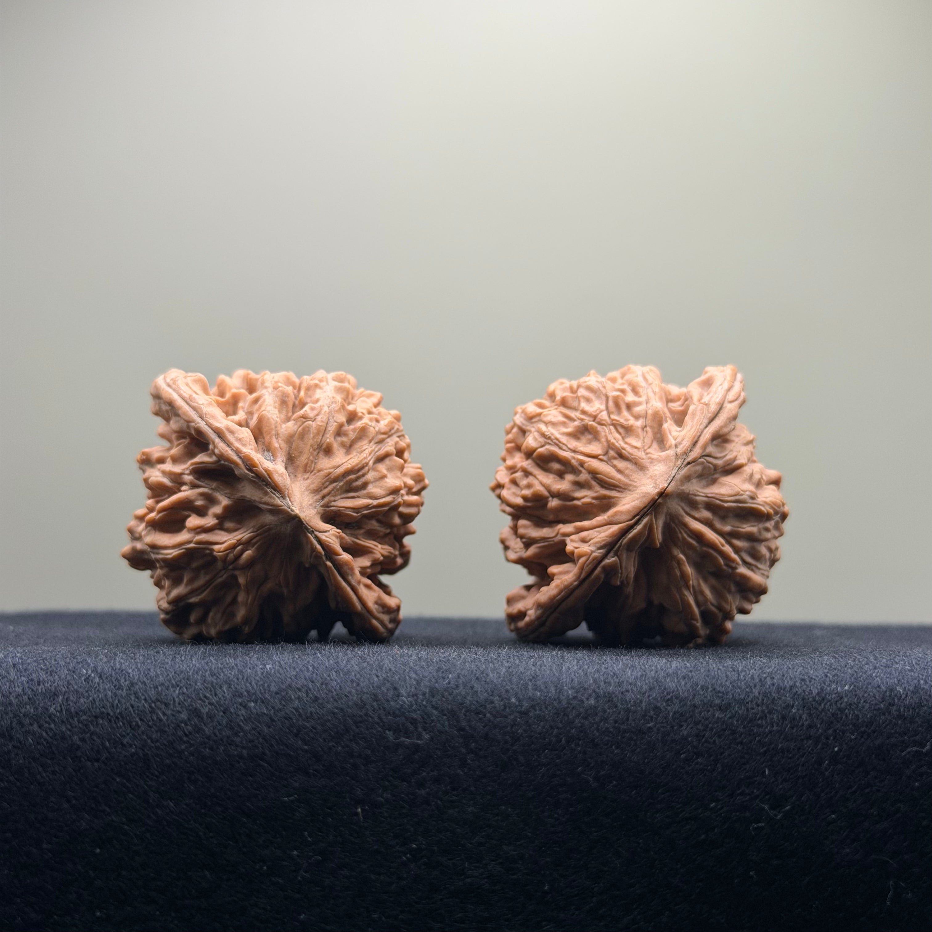 Four Towers Wenwan Walnut · 42mm · Natural · Entry Ritual